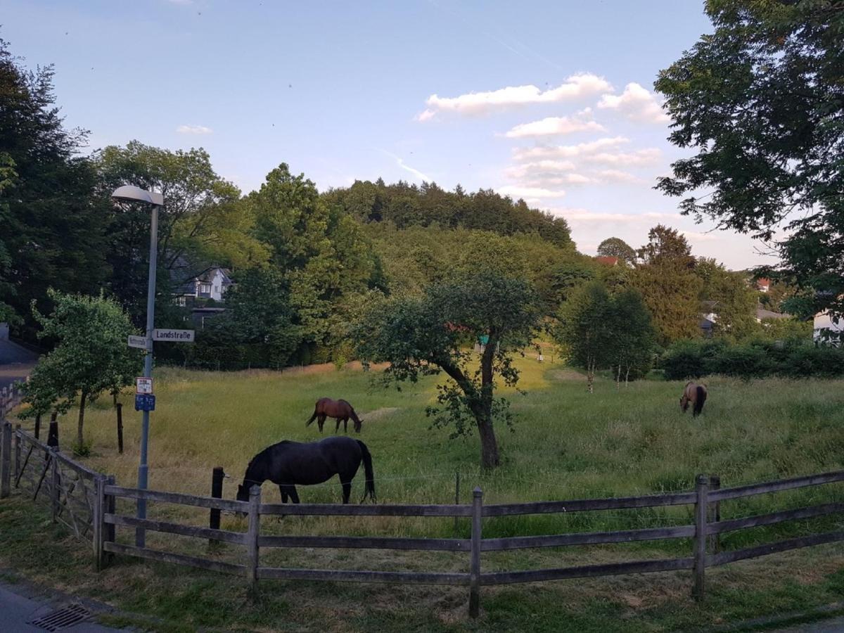Ferienwohnung Drei Lilien グンマースバッハ エクステリア 写真